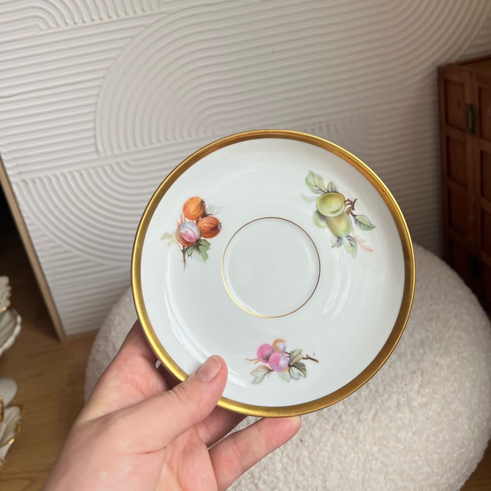 Vintage Porcelain Fruit Pattern Gold-Rim Saucer - White